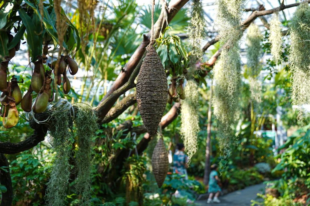 国庆节旅游景点推荐合肥周边,国庆合肥休闲旅游推荐