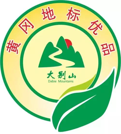 来看新地标,黄冈东坡地标优品