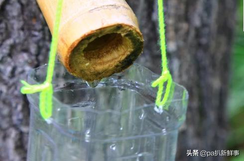 户外探险取水视频教程,户外探险必备十大技能