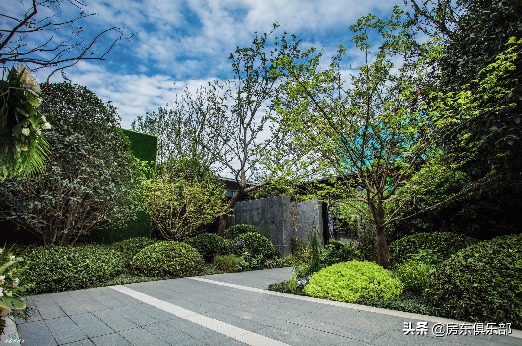 北龙湖一个多亿的豪宅,北龙湖豪宅一楼带院