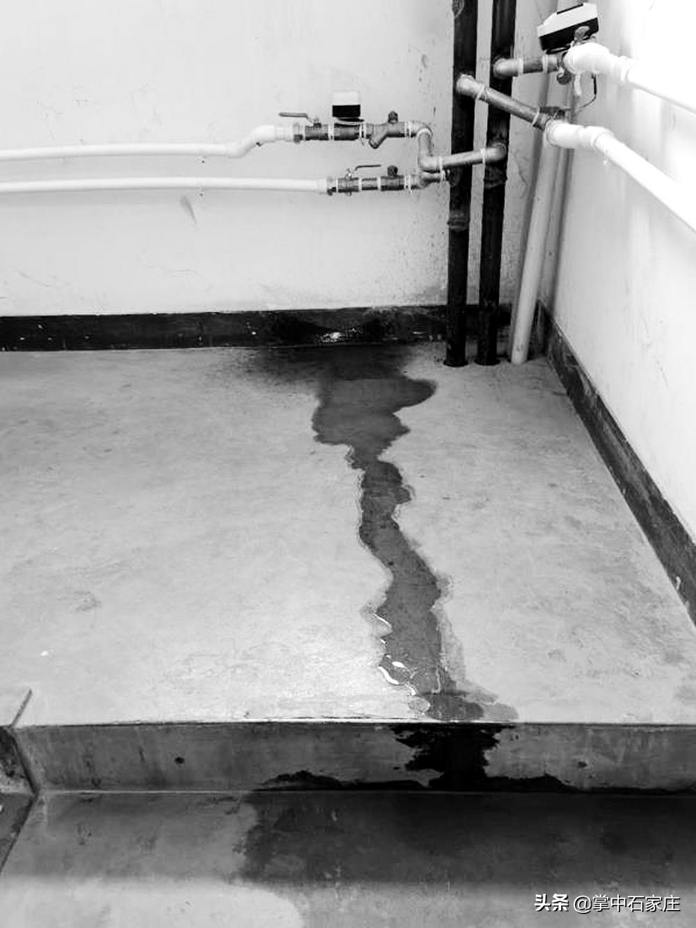 鐕曡档鏅氭姤鐑嚎,鐕曡档鏅氭姤渚涙殩闂