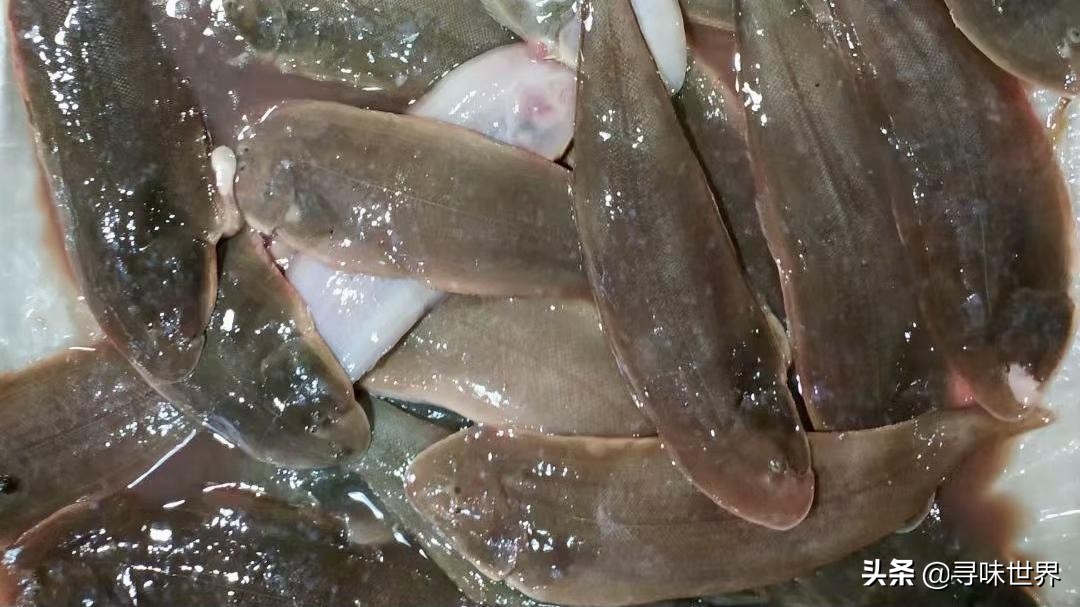 内行人买鱼,买鱼时内行人专买的5种鱼