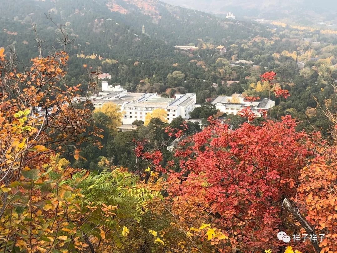 北京香山公园5.1攻略,香山静宜园二十八景