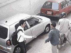 这两位大哥真牛，不知这树还能让他们爽多久