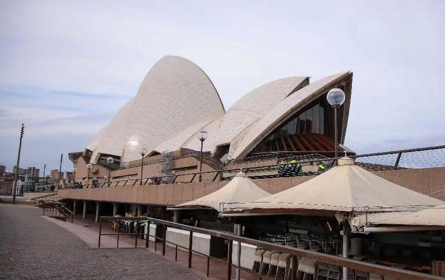 悉尼新冠病毒感染导致多少人死亡,悉尼新冠