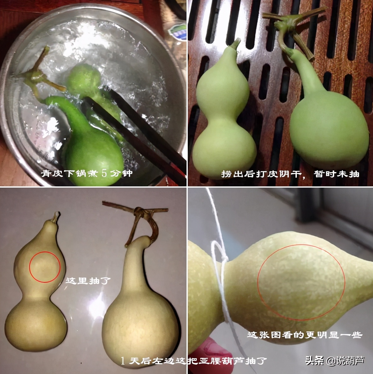 文玩葫芦怎么保养不会裂,文玩葫芦把玩有讲究吗