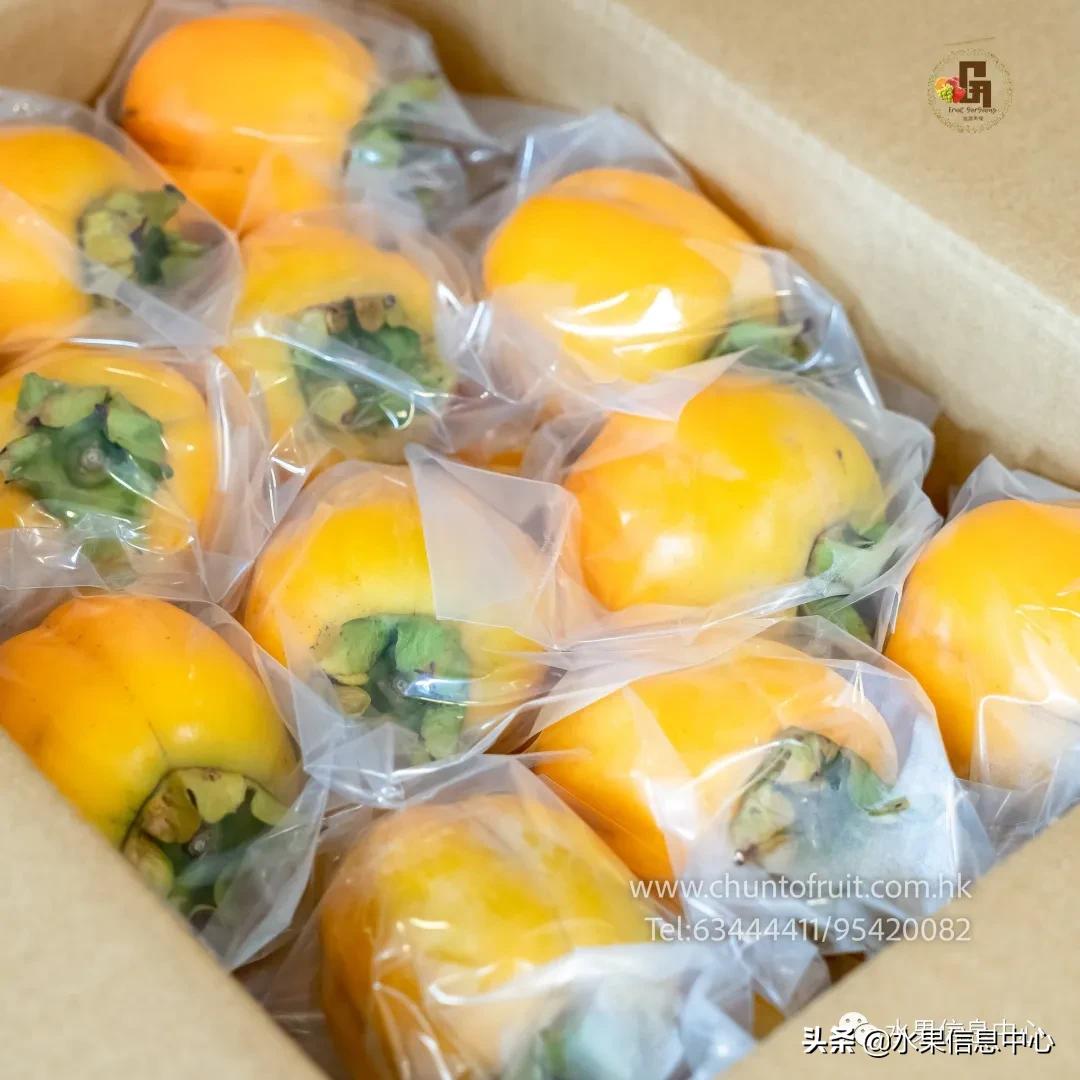 进口水果生意年入千万,批发水果月入百万