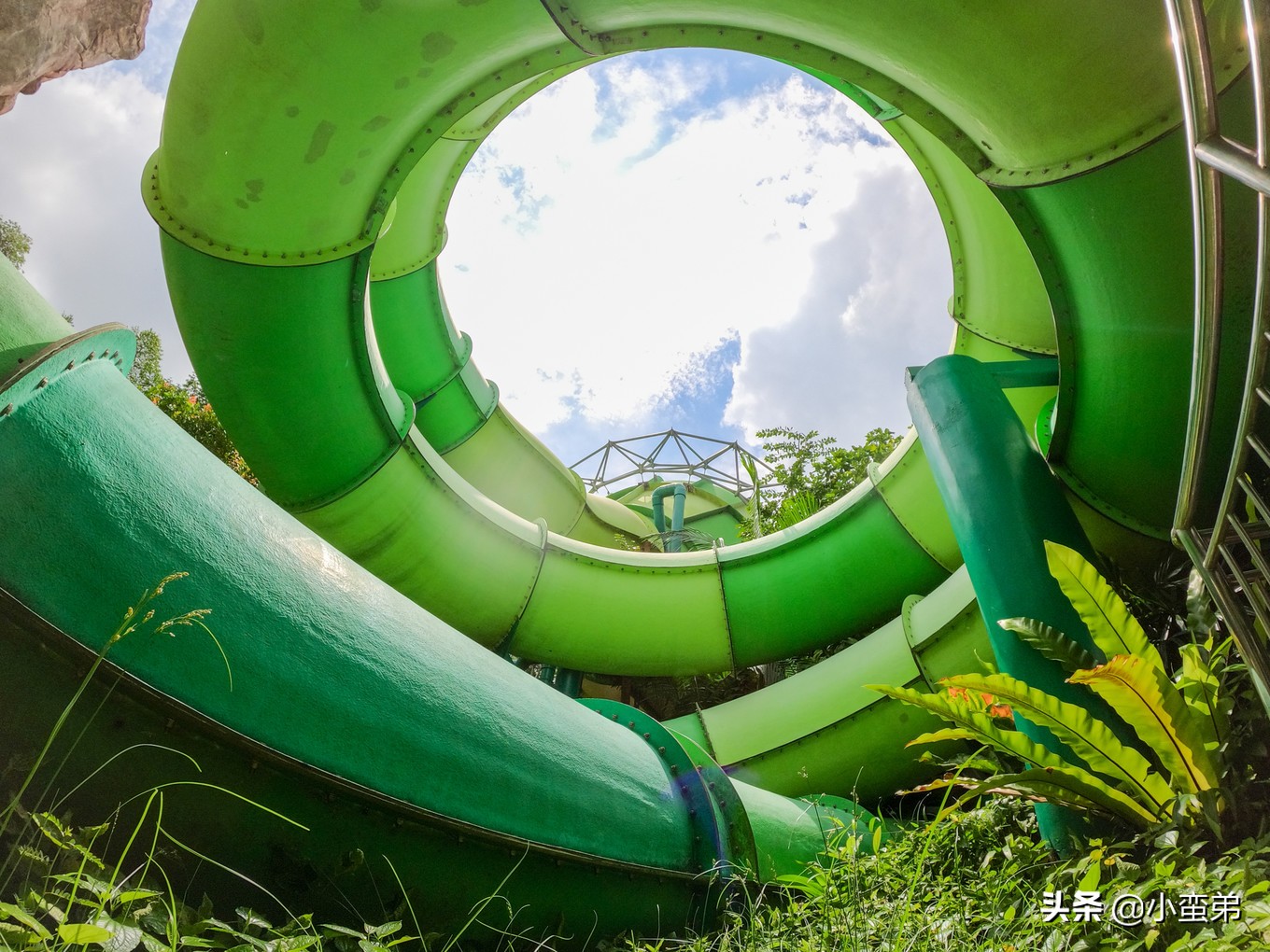 5年之许，小白逆袭重返新加坡