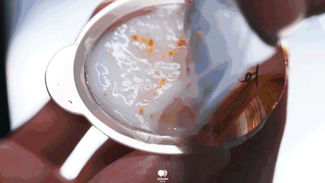 干燥毛躁头发护发素推荐,炸毛星人必备