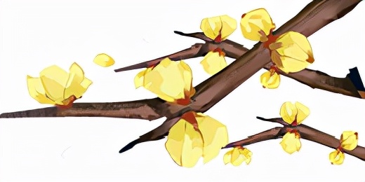 立冬吃饺子哪七个馅儿,立冬吃瓜馅儿饺子的寓意