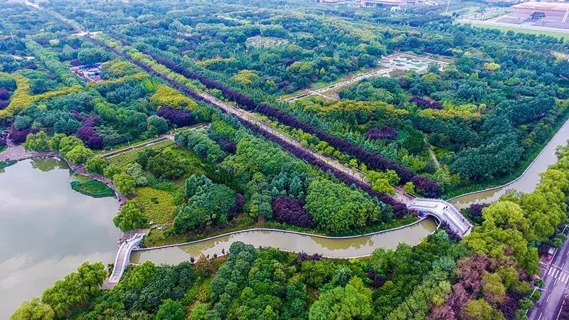 洛阳适合休息的公园,洛阳免费公园景点大全