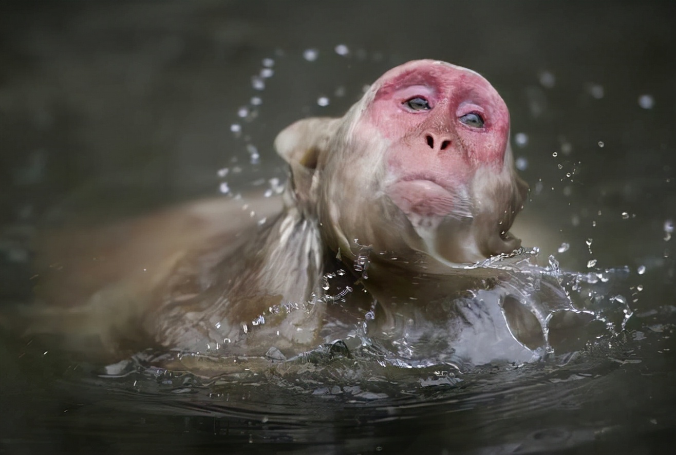 女人爱哭是什么原因,女人爱哭因为什么