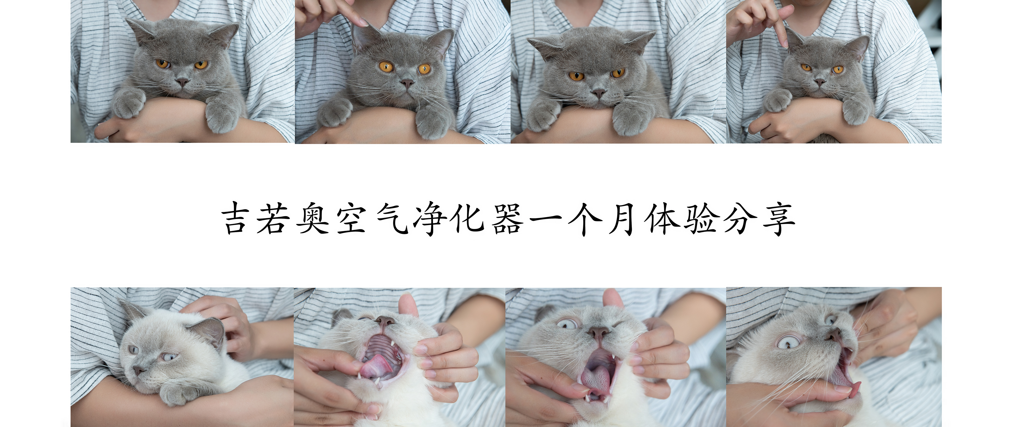 吉若奥mini空气净化器,吉若奥空气净化器测评