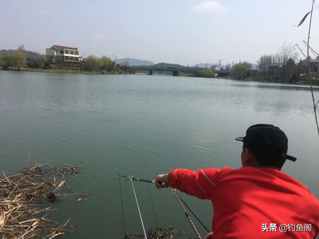 如何选择合适鱼竿的支架,鱼竿支架怎么选角度