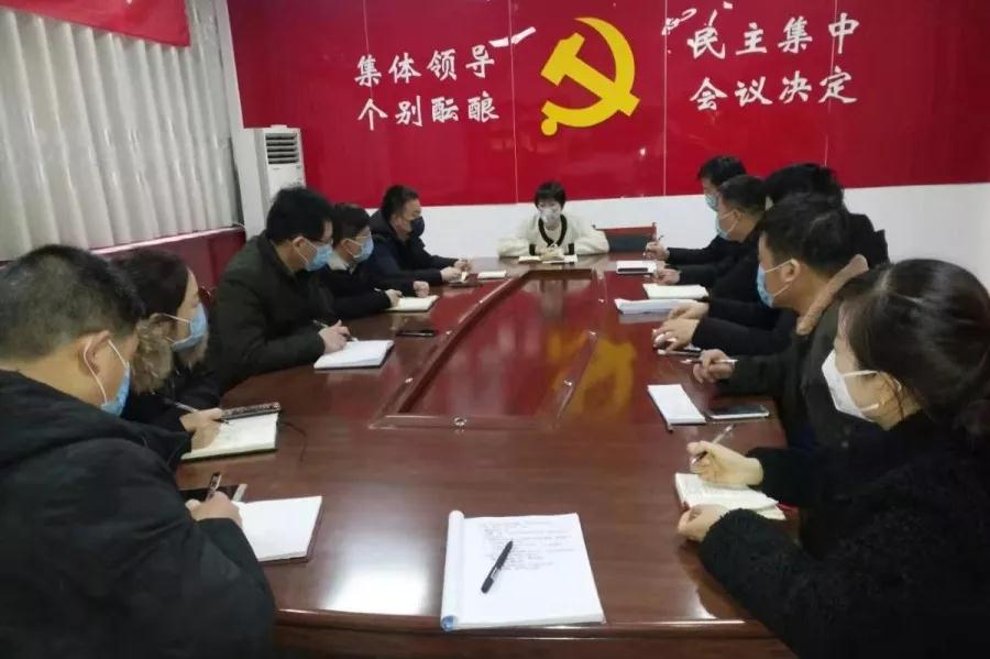 飘扬的旗帜——富平县齐村镇各基层*党**组织和*党**员干部抗击肺炎纪实