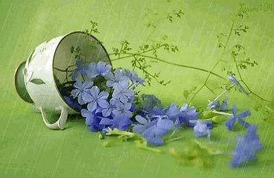 清明节寄托哀思的图片,清明节缅怀亲人寄哀思