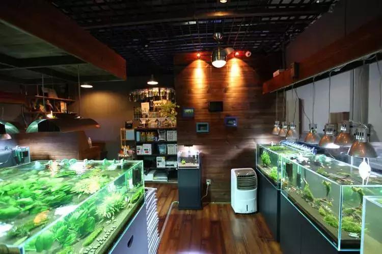 水族加盟连锁店,加盟水族店注意什么