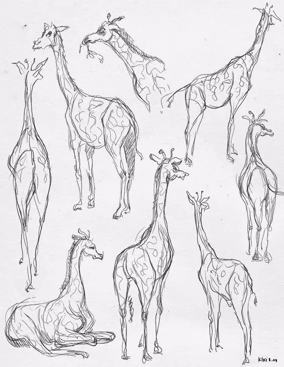 简笔画人物教程大全零基础成人,1000个适合零基础的简笔画教程