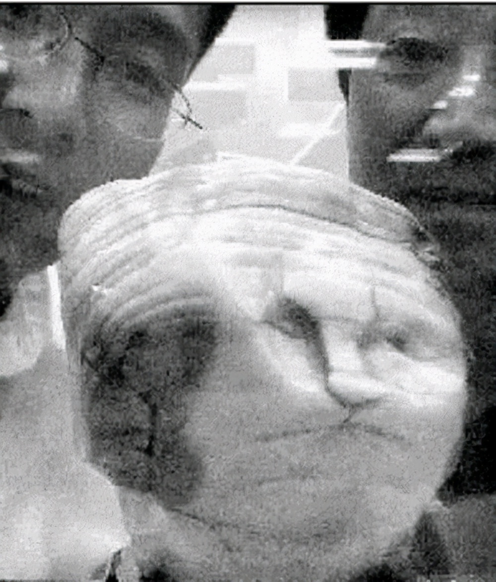 内蒙阿拉善9500万玛瑙奇石,20年前9600万的奇石现在值多少钱