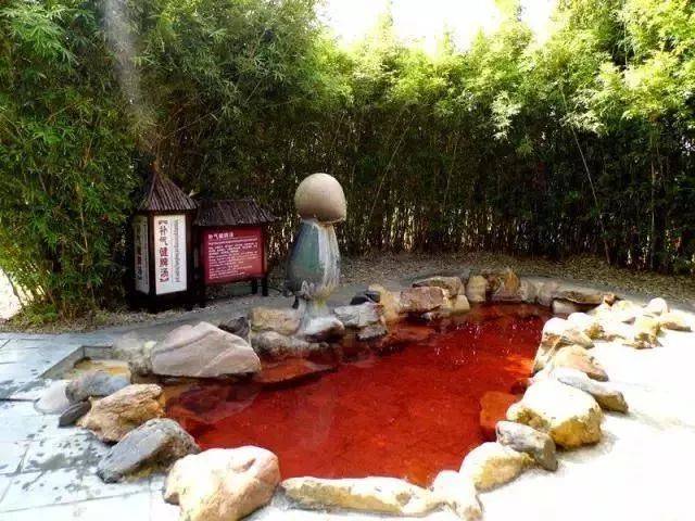 倒数狂欢夜,清远森波拉奇妙世界主题乐园住宿