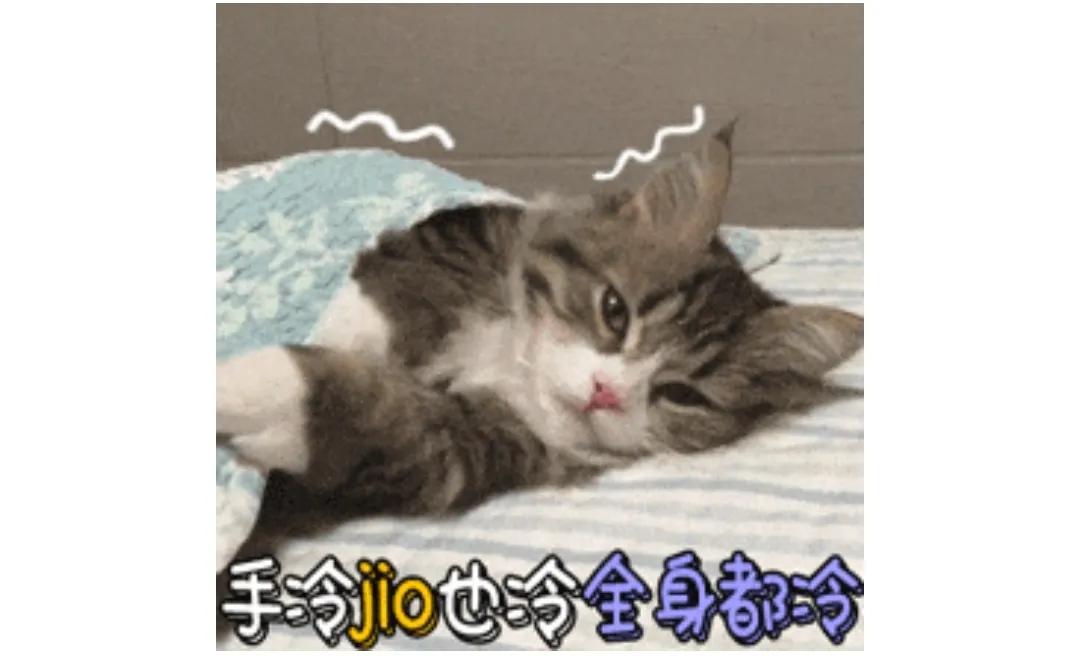 超暖女士厚袜子,超暖袜子女