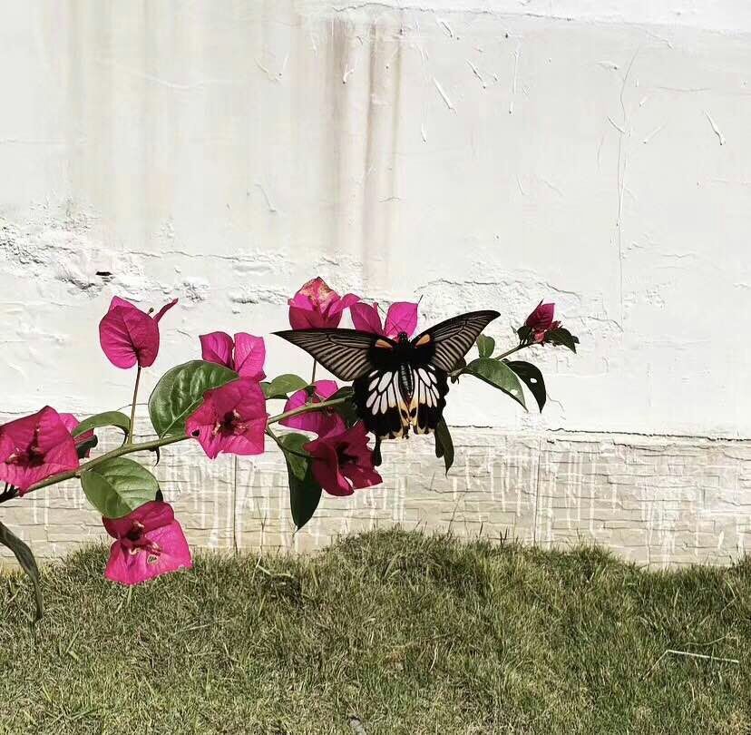 致每一位认真生活的成年人：做微商、送外卖，不丢人