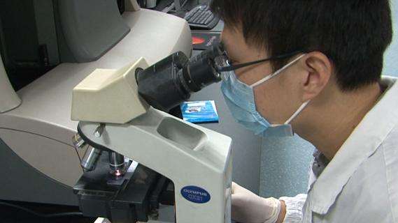 科普梅毒传播途径有哪些你了解吗,感染艾滋病梅毒的几率有多大