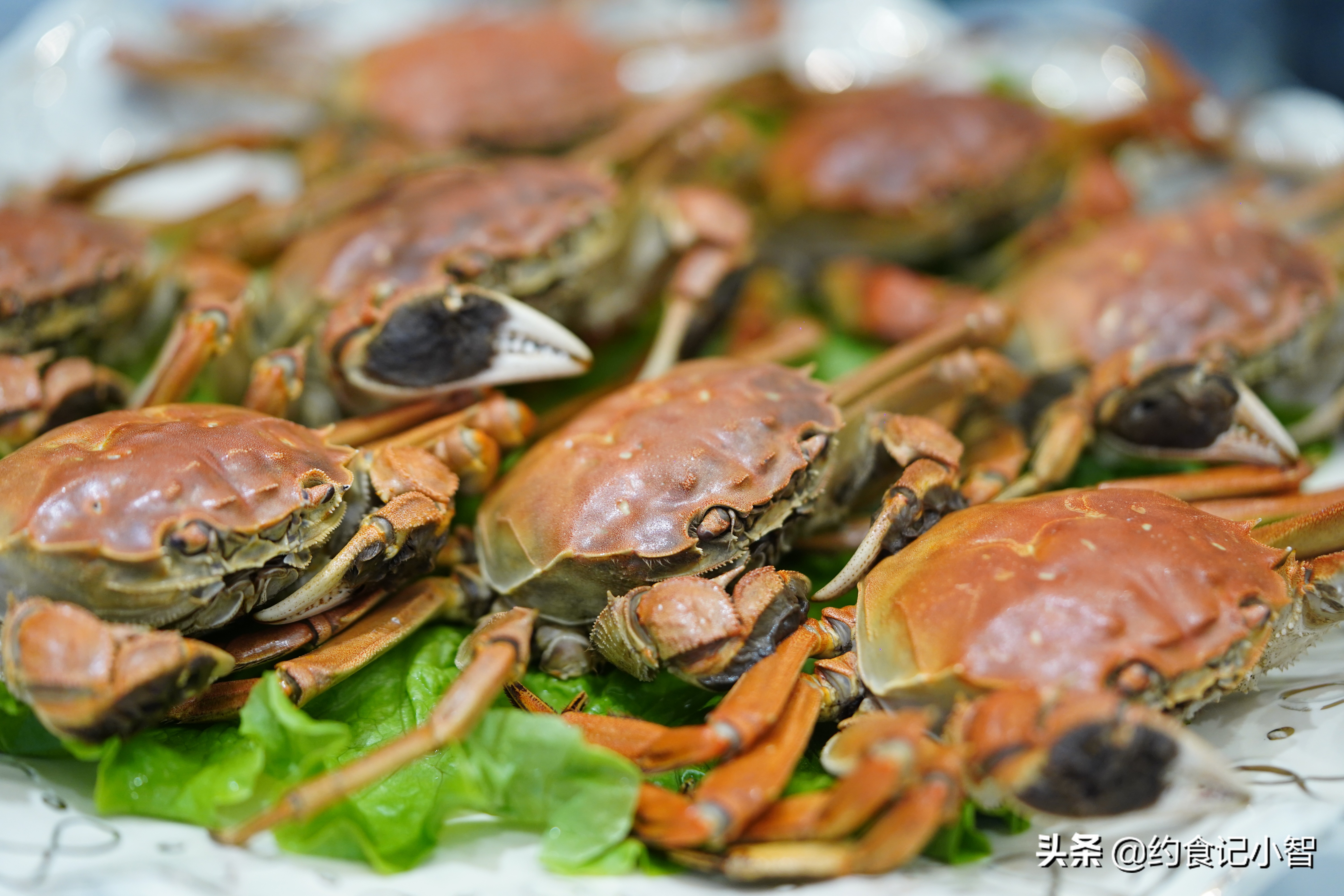 特色豆捞火锅,乌鲁木齐老火锅推荐