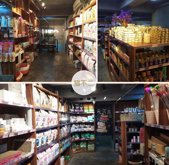 猫舍卖猫这行业为什么这么暴利,猫咪宠物店靠什么盈利