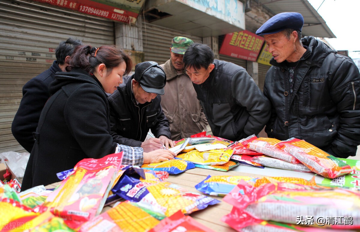 种子销售的前景,种子销售法则