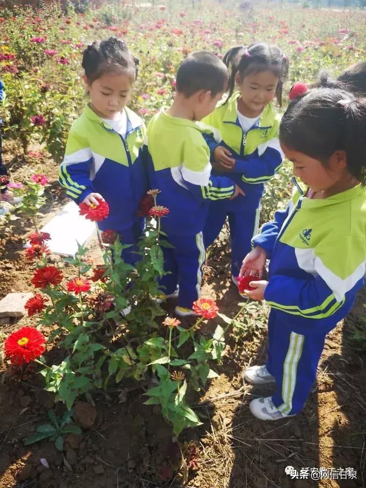 金太阳幼儿园校门,延安市甘泉谢金庄幼儿园