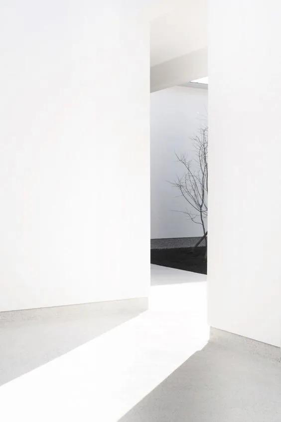 鐫夸綇澶╁厓鐠熸偊椋庡崕,鐫跨瓚澶╁厓