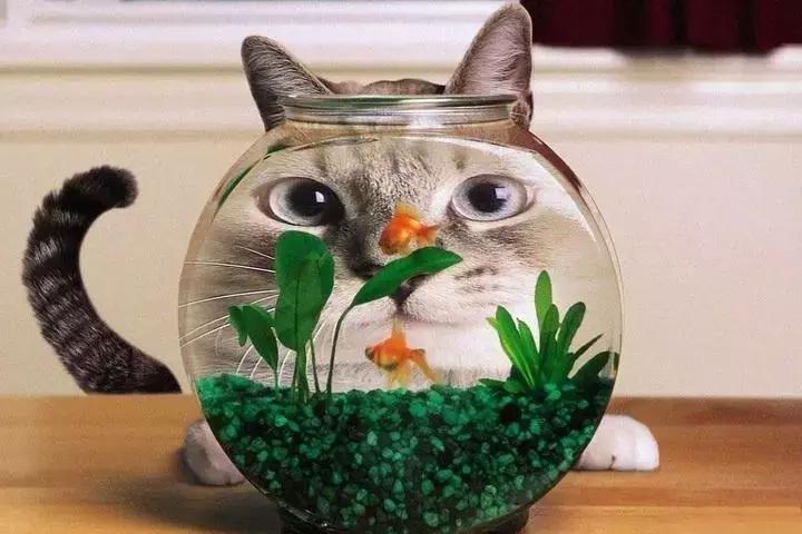 一直都真实存在的流言,一直有人在造谣我自己怎么办