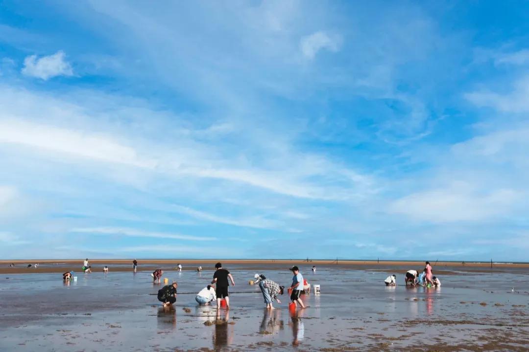 生活在日照是什么感觉,生活在日照就是幸福征文800字