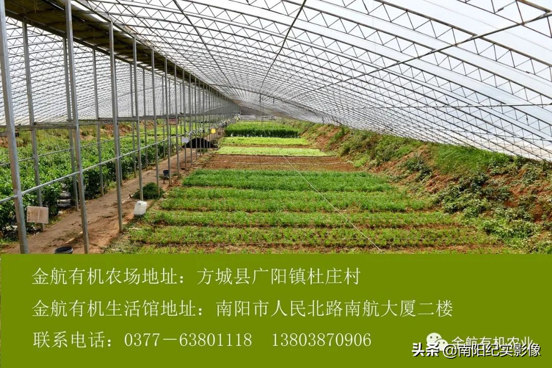 宜家生活超市开业,绿航超市