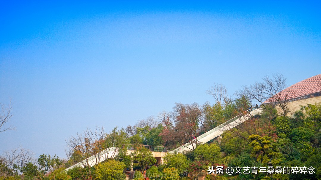 牛首山佛顶宫游览顺序,牛首山佛顶宫初体验