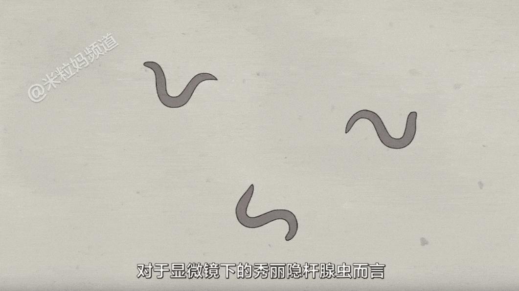 科教纪录片大全免费观看,ted双语科普动画视频