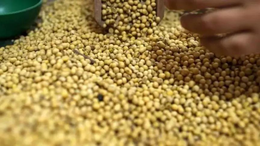 在乡土中国里拼出奇迹