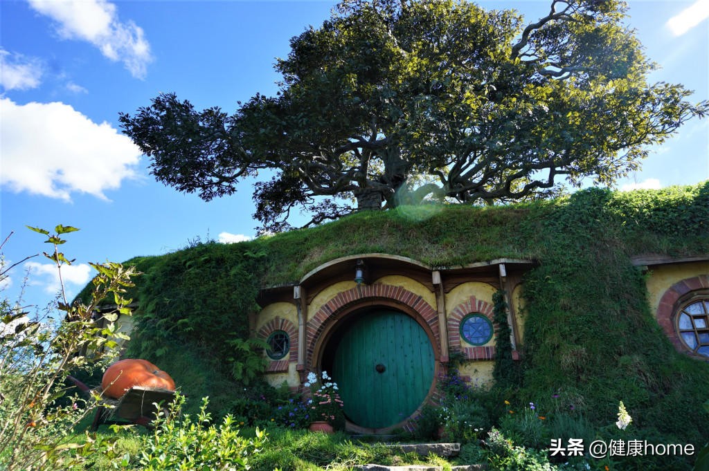 新西兰霍比特人村攻略,新西兰霍比特蓝泉一日游