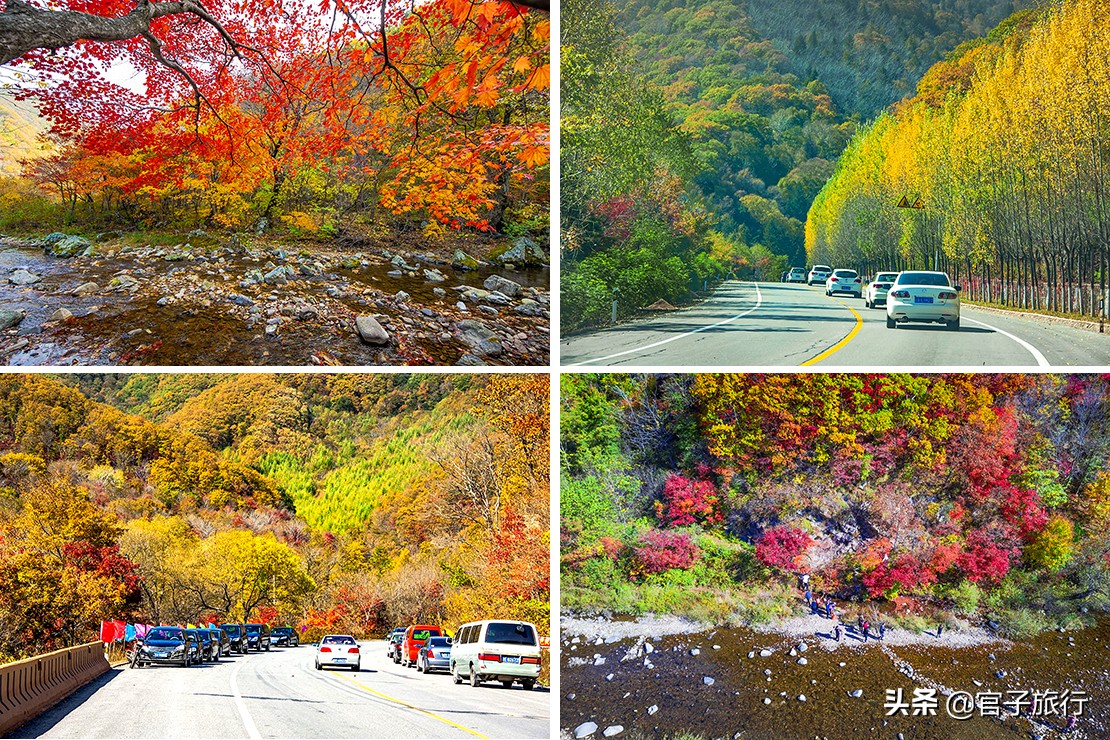 中华枫叶之路自驾游攻略,中华枫叶大道自驾游路线