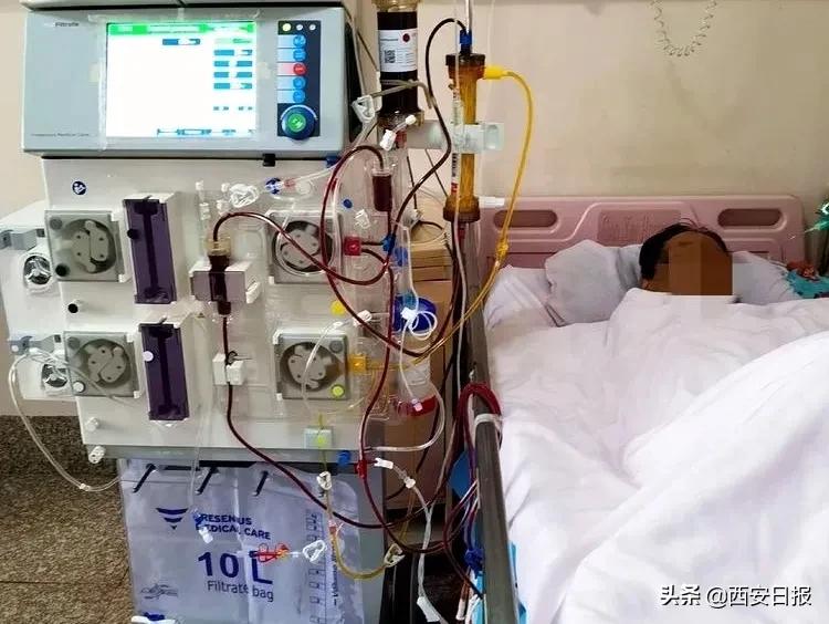 清肝排肝毒最好方法,疏肝排肝毒最好的方法