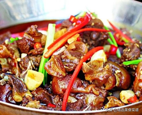 炖狗肉怎么做又香又好吃的视频,狗肉怎么炖才好吃又简单的方法