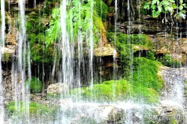 清凉夏日一起游玩,清凉夏日的奇幻邂逅