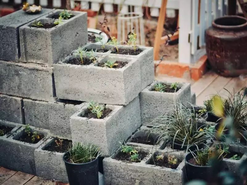 10000块能做点什么,10000块钱能做什么