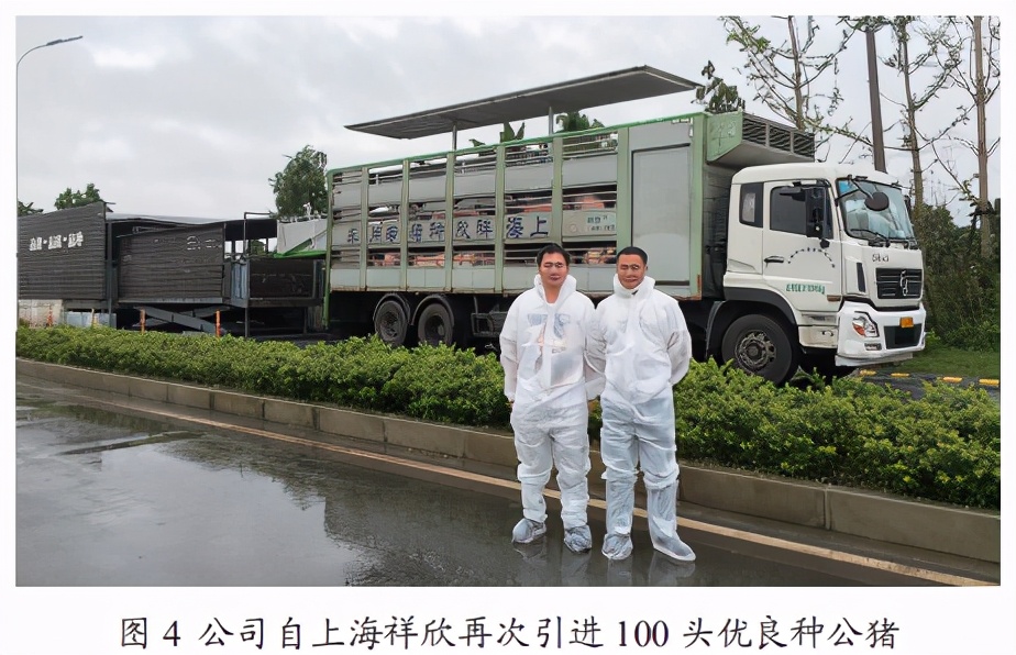 用优秀的公猪及精液产品为养殖者服务