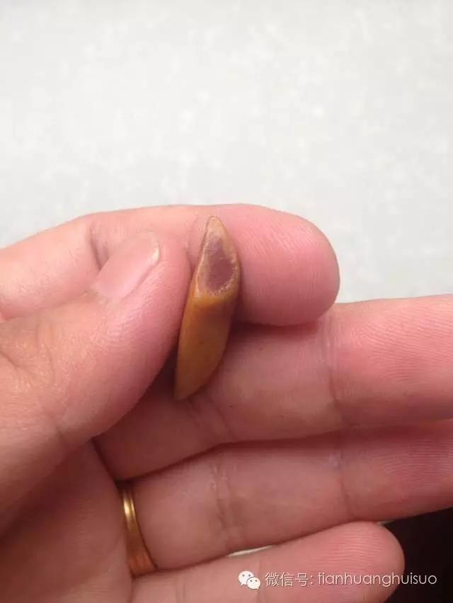 福州哪里有鉴定寿山田黄原石,福建寿山田黄鸡油黄