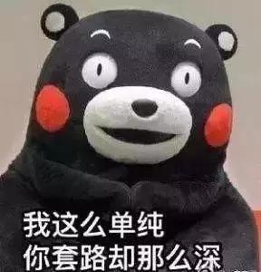 宠物315，这一年猫狗又吃了多少亏，挨了多少苦，受了多少骗