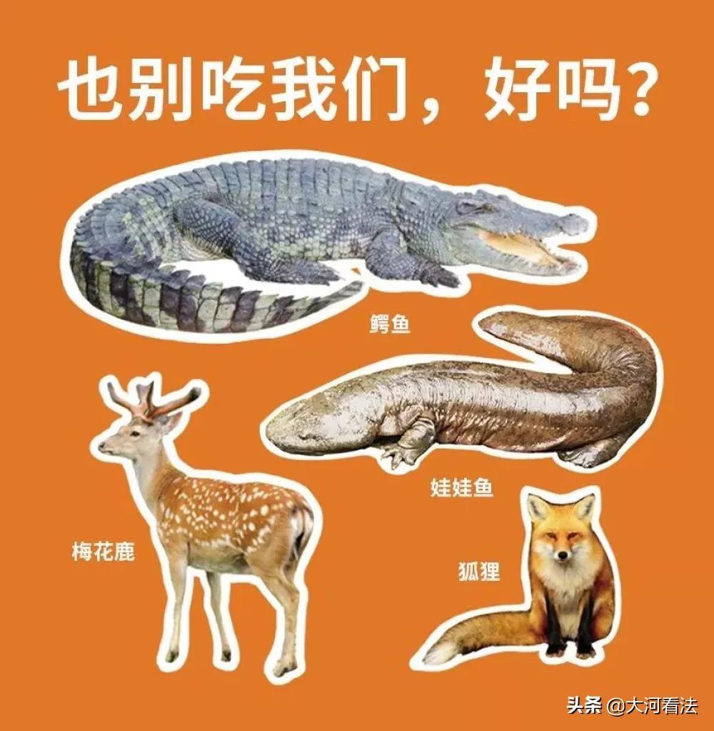 哪些动物属于野味,野生动物哪种最好吃