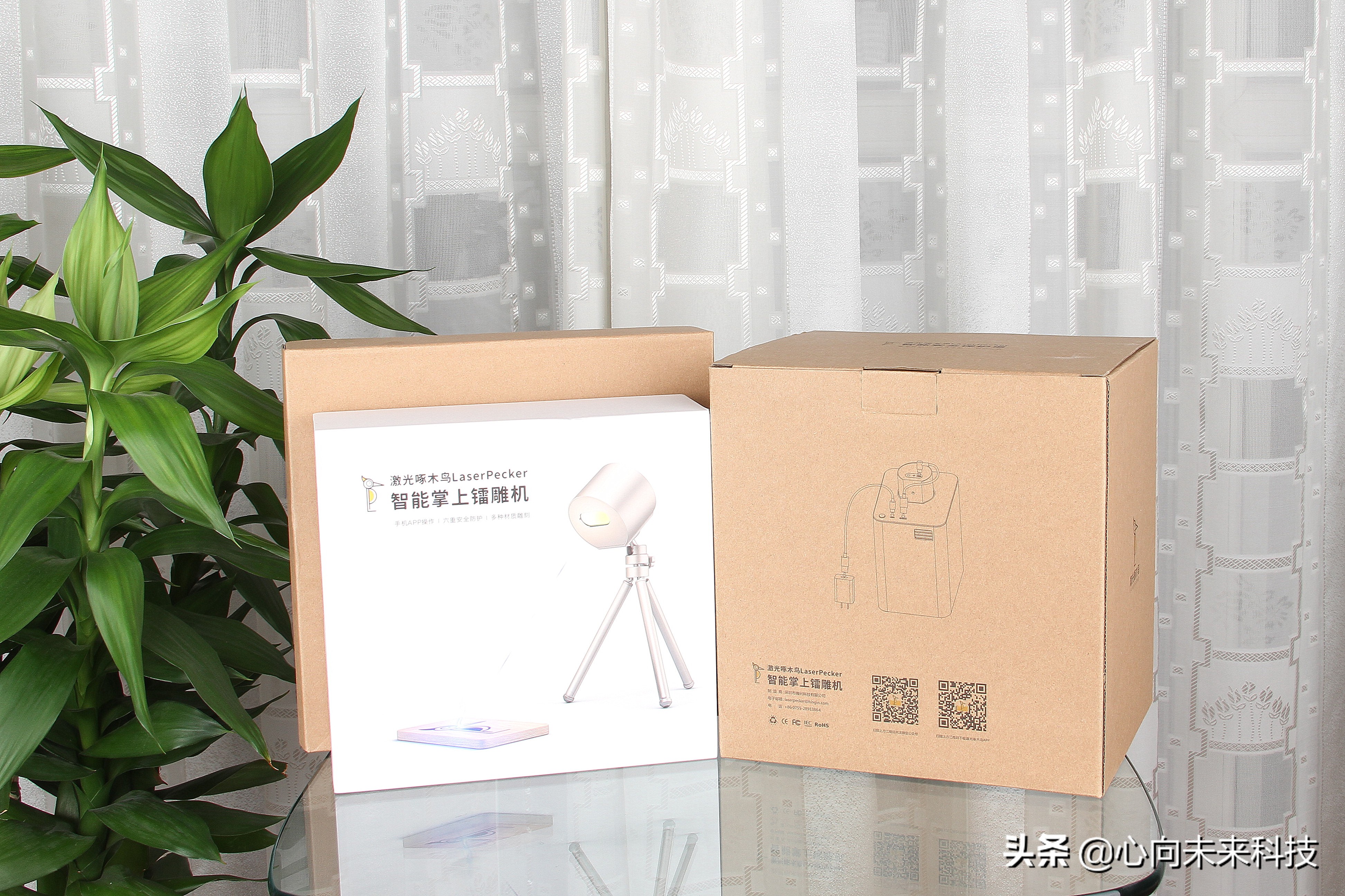 啄木鸟镭雕,啄木鸟激光雕刻机雕树叶