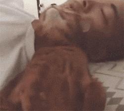 自从有了猫,自从有了猫以后好像变了一个人